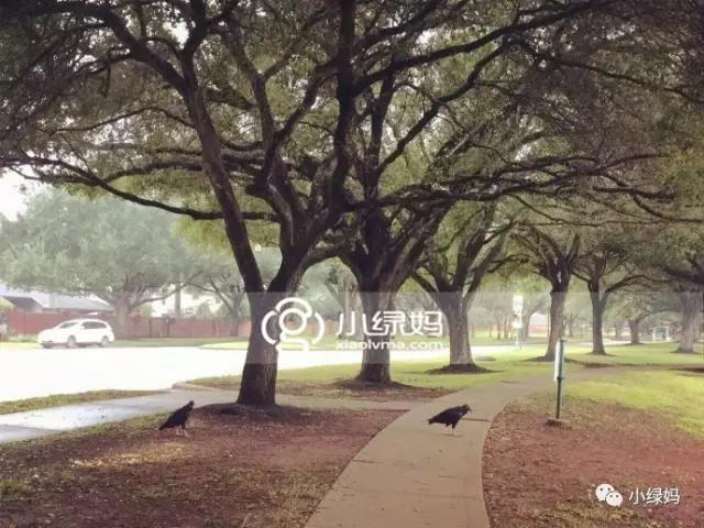 1630918492275638.jpg 微信图片_20210906164914.jpg